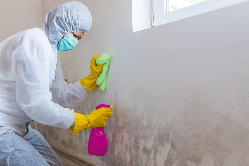 Mold Prevention Measures
