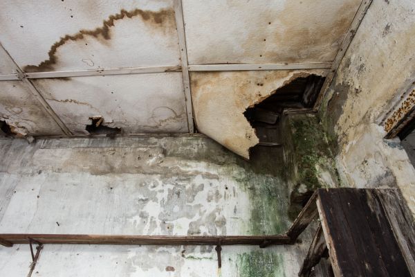 Cost of Water Damage Service in El Dorado Hills