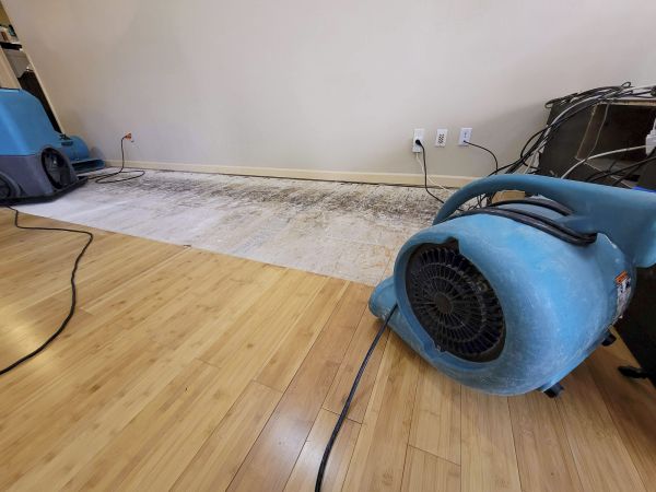 Cost of Water Damage Mitigation in El Dorado Hills