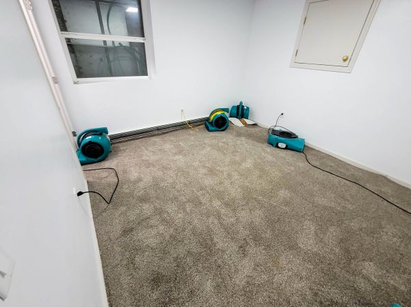 Cost of Flood Restoration Service in El Dorado Hills