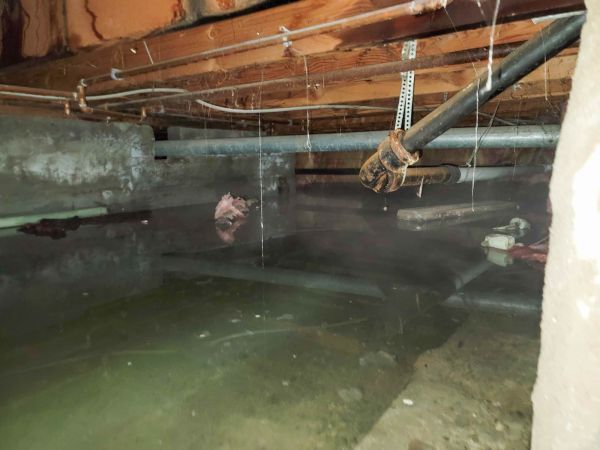 Cost of Water Mitigation Service in El Dorado Hills
