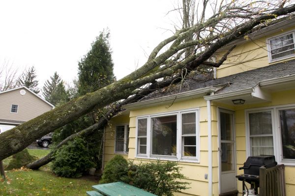 Hurricane Damage Repair in El Dorado Hills